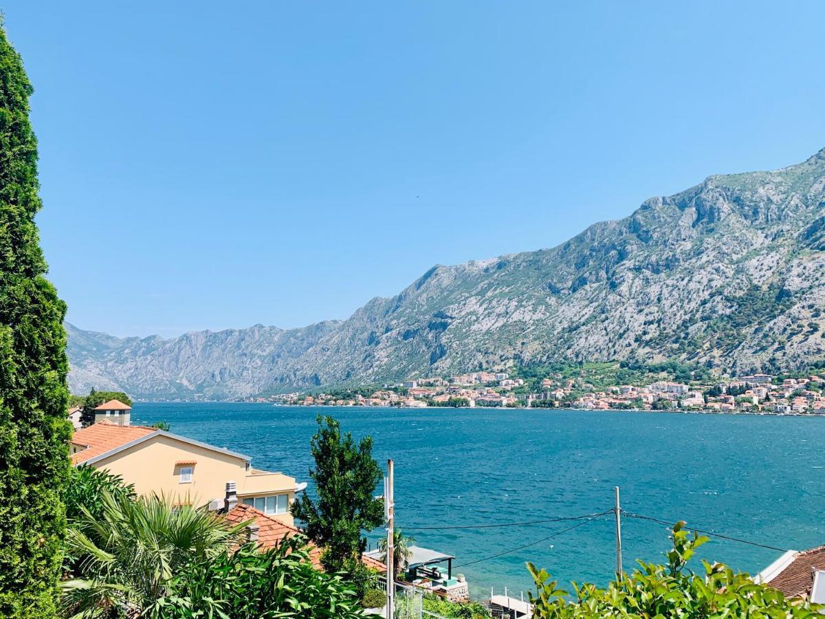 Kotor Muo Apartments A1 المظهر الخارجي الصورة